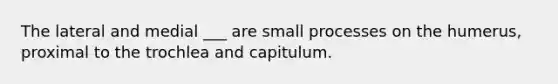 The lateral and medial ___ are small processes on the humerus, proximal to the trochlea and capitulum.