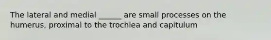 The lateral and medial ______ are small processes on the humerus, proximal to the trochlea and capitulum