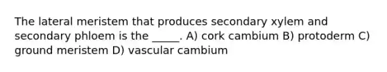 The lateral meristem that produces secondary xylem and secondary phloem is the _____. A) cork cambium B) protoderm C) ground meristem D) vascular cambium