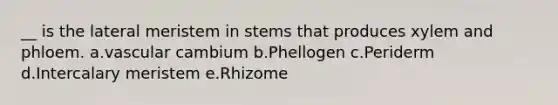 __ is the lateral meristem in stems that produces xylem and phloem. a.vascular cambium b.Phellogen c.Periderm d.Intercalary meristem e.Rhizome