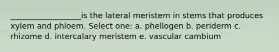 __________________is the lateral meristem in stems that produces xylem and phloem. Select one: a. phellogen b. periderm c. rhizome d. intercalary meristem e. vascular cambium