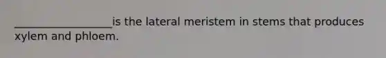 __________________is the lateral meristem in stems that produces xylem and phloem.