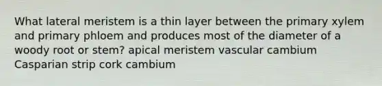 What lateral meristem is a thin layer between the primary xylem and primary phloem and produces most of the diameter of a woody root or stem? apical meristem vascular cambium Casparian strip cork cambium