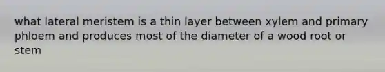 what lateral meristem is a thin layer between xylem and primary phloem and produces most of the diameter of a wood root or stem