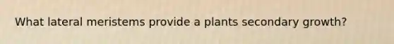 What lateral meristems provide a plants secondary growth?