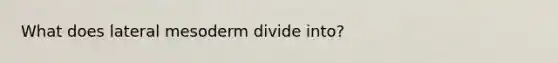 What does lateral mesoderm divide into?