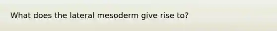 What does the lateral mesoderm give rise to?