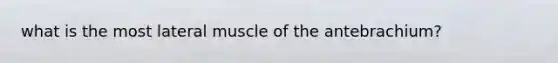 what is the most lateral muscle of the antebrachium?