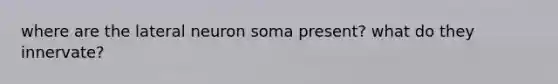 where are the lateral neuron soma present? what do they innervate?