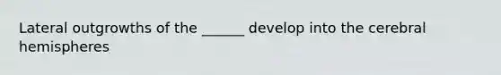 Lateral outgrowths of the ______ develop into the cerebral hemispheres