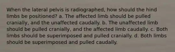 When the lateral pelvis is radiographed, how should the hind limbs be positioned? a. The affected limb should be pulled cranially, and the unaffected caudally. b. The unaffected limb should be pulled cranially, and the affected limb caudally. c. Both limbs should be superimposed and pulled cranially. d. Both limbs should be superimposed and pulled caudally.
