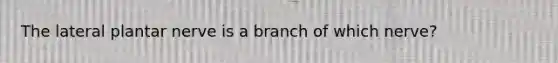 The lateral plantar nerve is a branch of which nerve?