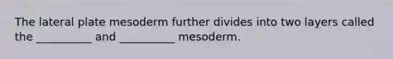 The lateral plate mesoderm further divides into two layers called the __________ and __________ mesoderm.