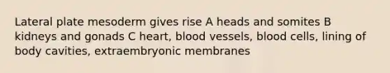 Lateral plate mesoderm gives rise A heads and somites B kidneys and gonads C heart, blood vessels, blood cells, lining of body cavities, extraembryonic membranes