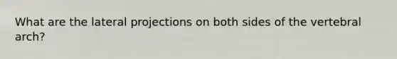 What are the lateral projections on both sides of the vertebral arch?