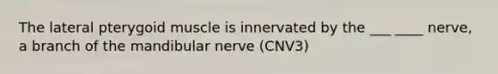 The lateral pterygoid muscle is innervated by the ___ ____ nerve, a branch of the mandibular nerve (CNV3)