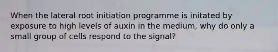 When the lateral root initiation programme is initated by exposure to high levels of auxin in the medium, why do only a small group of cells respond to the signal?