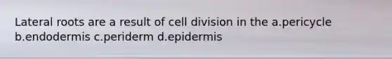 Lateral roots are a result of cell division in the a.pericycle b.endodermis c.periderm d.epidermis