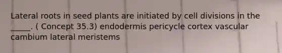 Lateral roots in seed plants are initiated by <a href='https://www.questionai.com/knowledge/kjHVAH8Me4-cell-division' class='anchor-knowledge'>cell division</a>s in the _____. ( Concept 35.3) endodermis pericycle cortex vascular cambium lateral meristems