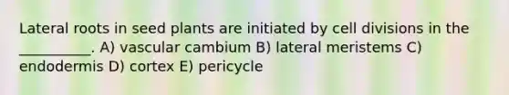 Lateral roots in seed plants are initiated by cell divisions in the __________. A) vascular cambium B) lateral meristems C) endodermis D) cortex E) pericycle