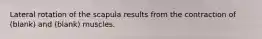 Lateral rotation of the scapula results from the contraction of (blank) and (blank) muscles.