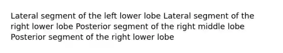 Lateral segment of the left lower lobe Lateral segment of the right lower lobe Posterior segment of the right middle lobe Posterior segment of the right lower lobe