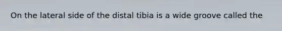 On the lateral side of the distal tibia is a wide groove called the