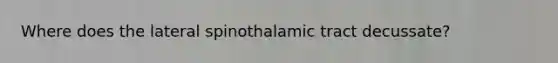 Where does the lateral spinothalamic tract decussate?