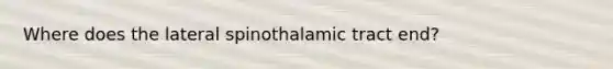 Where does the lateral spinothalamic tract end?