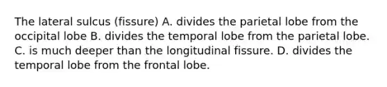 The lateral sulcus (fissure) A. divides the parietal lobe from the occipital lobe B. divides the temporal lobe from the parietal lobe. C. is much deeper than the longitudinal fissure. D. divides the temporal lobe from the frontal lobe.