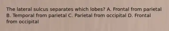 The lateral sulcus separates which lobes? A. Frontal from parietal B. Temporal from parietal C. Parietal from occipital D. Frontal from occipital