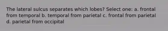 The lateral sulcus separates which lobes? Select one: a. frontal from temporal b. temporal from parietal c. frontal from parietal d. parietal from occipital