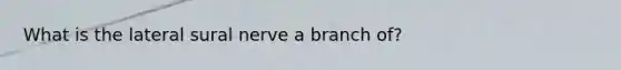 What is the lateral sural nerve a branch of?