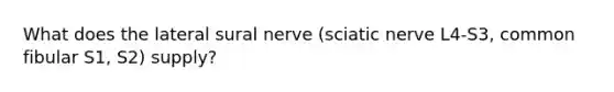 What does the lateral sural nerve (sciatic nerve L4-S3, common fibular S1, S2) supply?