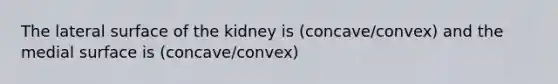 The lateral surface of the kidney is (concave/convex) and the medial surface is (concave/convex)