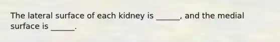 The lateral surface of each kidney is ______, and the medial surface is ______.