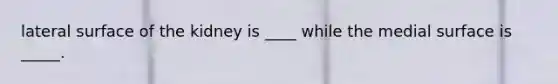 lateral surface of the kidney is ____ while the medial surface is _____.