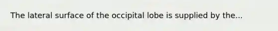 The lateral surface of the occipital lobe is supplied by the...