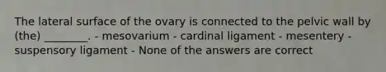 The lateral surface of the ovary is connected to the pelvic wall by (the) ________. - mesovarium - cardinal ligament - mesentery - suspensory ligament - None of the answers are correct