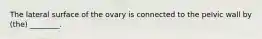 The lateral surface of the ovary is connected to the pelvic wall by (the) ________.