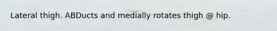 Lateral thigh. ABDucts and medially rotates thigh @ hip.