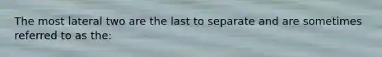 The most lateral two are the last to separate and are sometimes referred to as the: