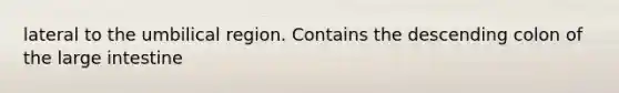 lateral to the umbilical region. Contains the descending colon of the <a href='https://www.questionai.com/knowledge/kGQjby07OK-large-intestine' class='anchor-knowledge'>large intestine</a>