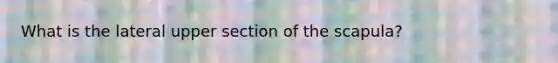 What is the lateral upper section of the scapula?