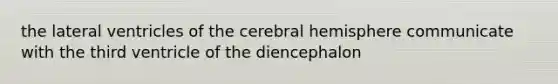 the lateral ventricles of the cerebral hemisphere communicate with the third ventricle of the diencephalon