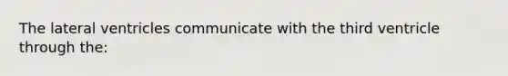 The lateral ventricles communicate with the third ventricle through the: