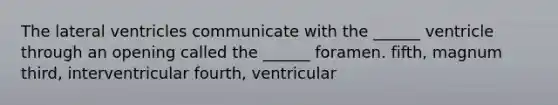 The lateral ventricles communicate with the ______ ventricle through an opening called the ______ foramen. fifth, magnum third, interventricular fourth, ventricular