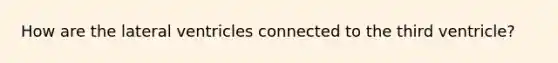 How are the lateral ventricles connected to the third ventricle?