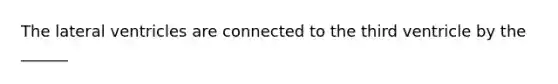 The lateral ventricles are connected to the third ventricle by the ______