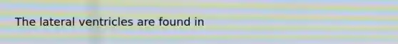 The lateral ventricles are found in